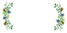 Garden Oaks Family & Cosmetic Dentistry Logo